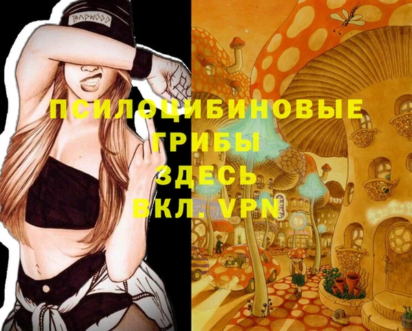 прущие крисы Алексин