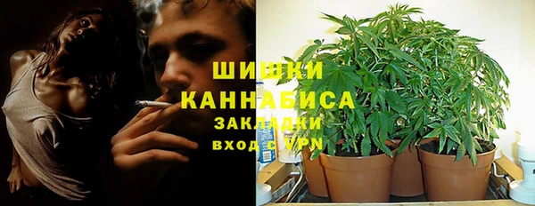 мяу мяу мука Алзамай